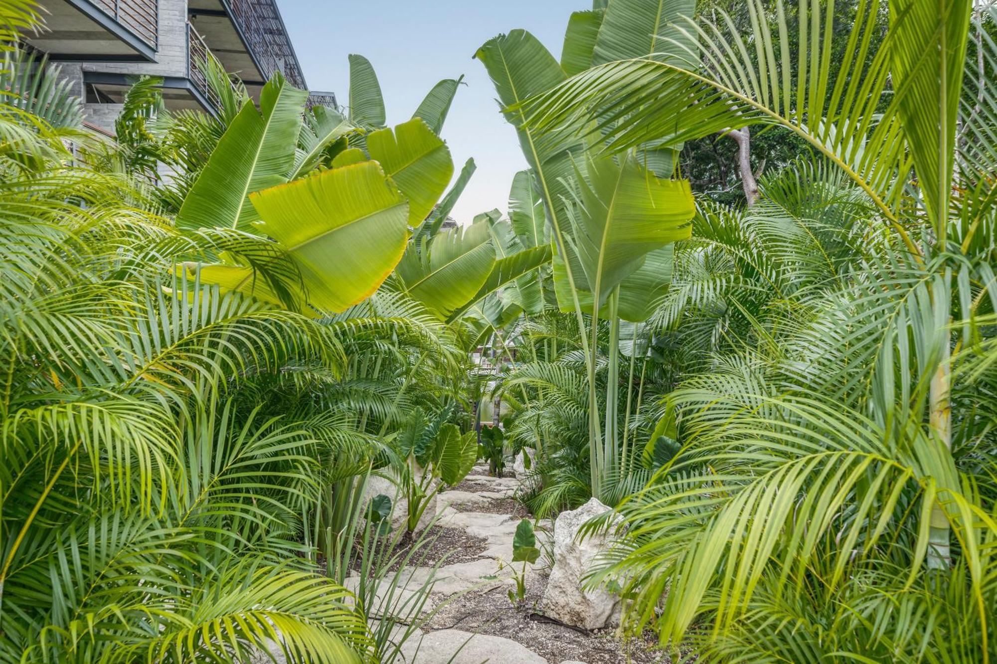 Waterworld Tulum 2Br W Cenote -Lagoons - Big Gym Zewnętrze zdjęcie